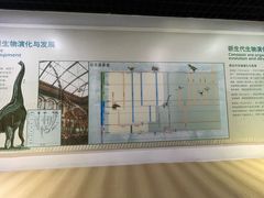 -中国第四纪冰川遗迹陈列馆