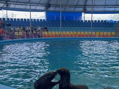 -尼莫海豚馆