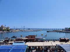 -大连圣亚海洋世界