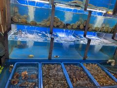 -老东镇啤酒屋海鲜加工·蒸汽海鲜·海鲜烧烤(台东店)