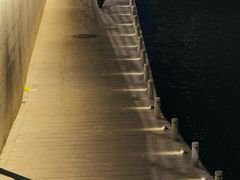 -荔湾湖公园