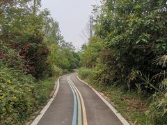 -桤木河湿地公园