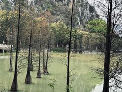 -星湖旅游景区七星岩