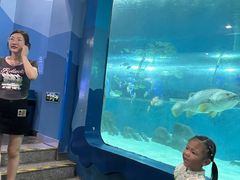 -苏州海洋馆