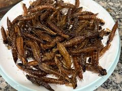 -夏家大锅台炖鱼馆