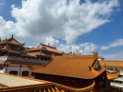 -深圳仙湖植物园