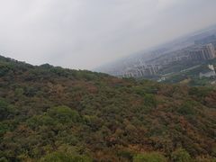 -杭州半山国家森林公园