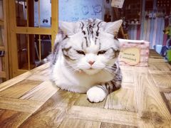 -小时光咖啡馆(开森度假森林店)