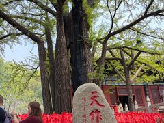 -红螺寺