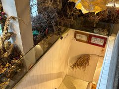 -野草莓自由市场