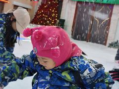 -世界之窗阿尔卑斯冰雪世界