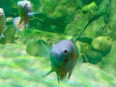 -常州海昌海洋探索馆
