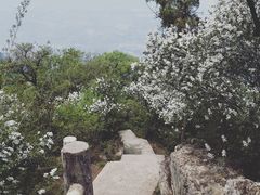-少华山国家森林公园