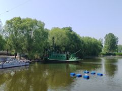-白洋淀景区