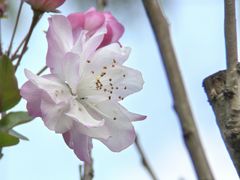 -白鹭湾湿地公园