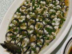 -呼吸森林·生态农庄农家乐私房菜