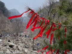 -泰山风景名胜区