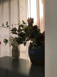 -北京炫美医疗美容