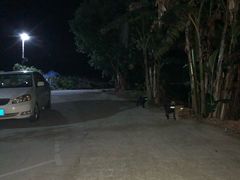 -天强农家菜馆