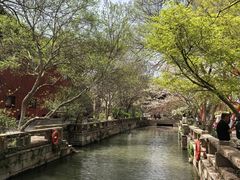 -广富林郊野公园