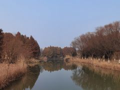-苏州太湖国家湿地公园