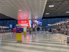 -米兰-马尔彭萨机场