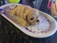 朱古力沙皮狗-甜喵酒吧(茂业店)