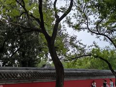 -北京国子监胡同
