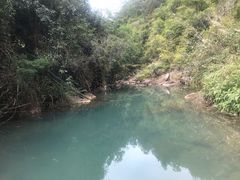 -广州白江湖森林公园