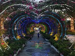 -三亚海昌梦幻海洋不夜城