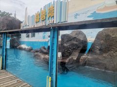 -海合安成都极地海洋公园