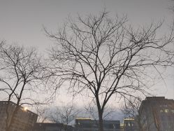 -范美特造型接发