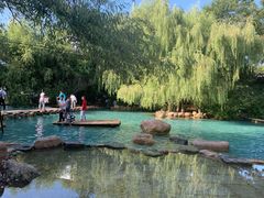 -大鹅岛绿色生态美食园