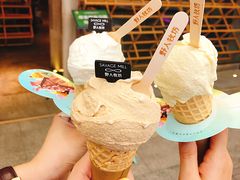 -野人先生现做冰淇淋(西安赛格店)