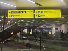 -谢列梅捷沃国际机场