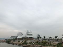 -野狸岛