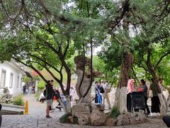 -南京中国近代史遗址博物馆(南京总统府)