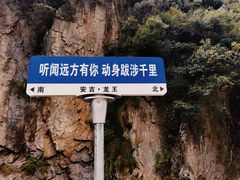 -正源安吉白茶特产享购商场(安吉店)