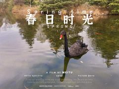 -白马涧龙池景区