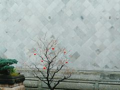 -胡雪岩故居