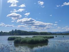 -野鸭湖国家湿地公园