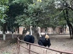 -南昌动物园