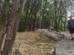 -火炉山森林公园