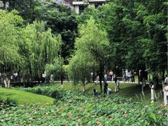 -沐仙湖湿地公园