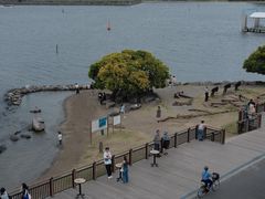 -台场海滨公园船码头