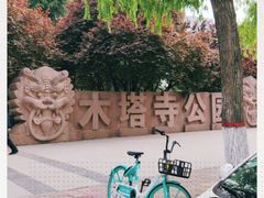 -木塔寺遗址生态公园