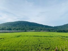 -风云岭森林公园