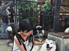 -TrueLove @ Neverland (Husky Cafe)