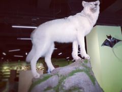 -青岛市图书馆