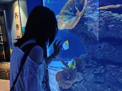 -成都浩海立方海洋公园